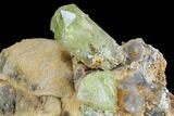 Lustrous Yellow Apatite Crystals on Calcite - Morocco #84312-2